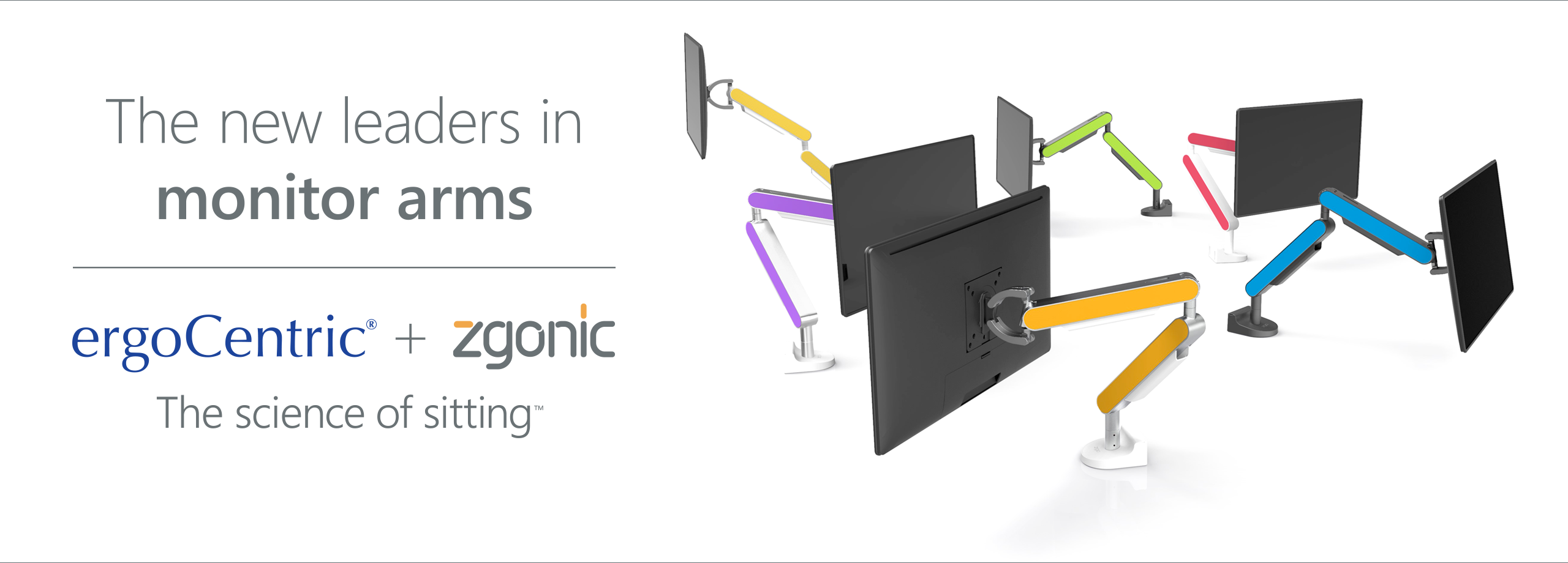 ergoCentric_Zgonic_WebBanner_v2 ergoCentric_Zgonic_WebBanner_v2